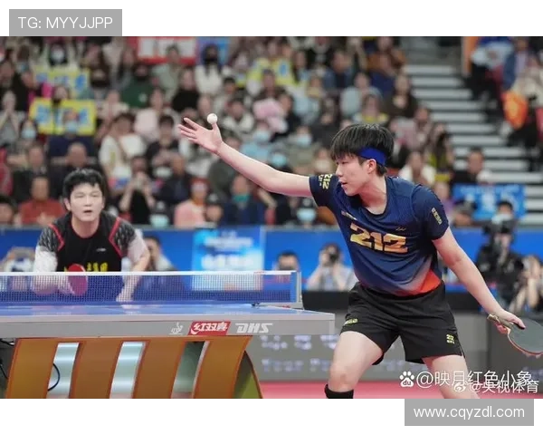 北京乒乓球队总决赛表现分析展现实力与潜力的完美结合