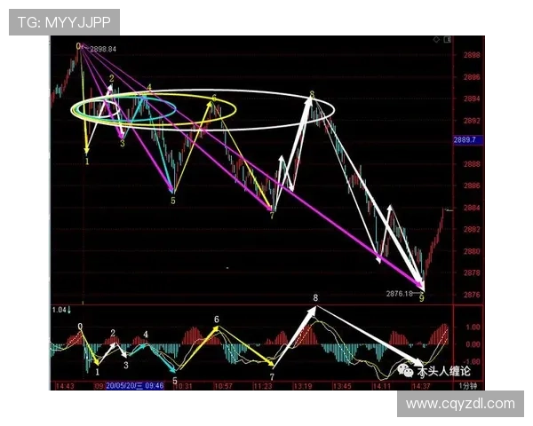 深圳乒乓球队包夹战术深度解析与实战应用探讨